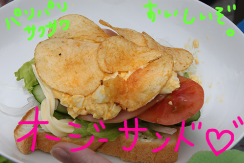 2010052927.jpg