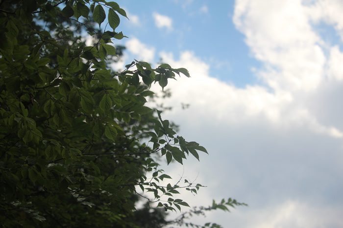 20200811pm4.jpg